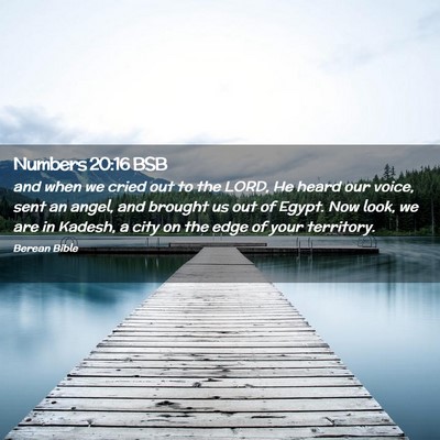 Picture 02 - Numbers 20:16 BSB - and when we cried out to the LORD, He heard our - Bible Verse Picture