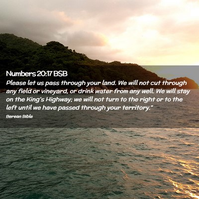 Picture 02 - Numbers 20:17 BSB - Please let us pass through your land. We will not - Bible Verse Picture