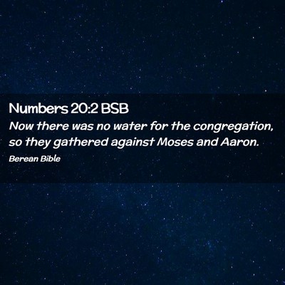 Picture 02 - Numbers 20:2 BSB - Now there was no water for the congregation, so - Bible Verse Picture