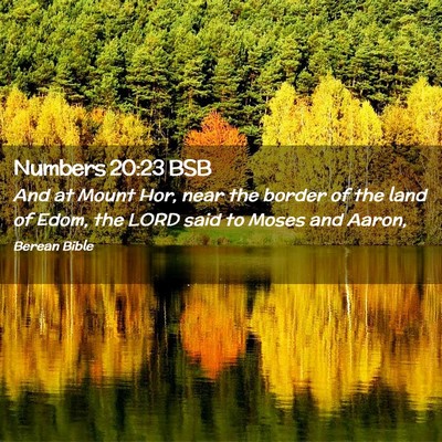 Picture 02 - Numbers 20:23 BSB - And at Mount Hor, near the border of the land of - Bible Verse Picture