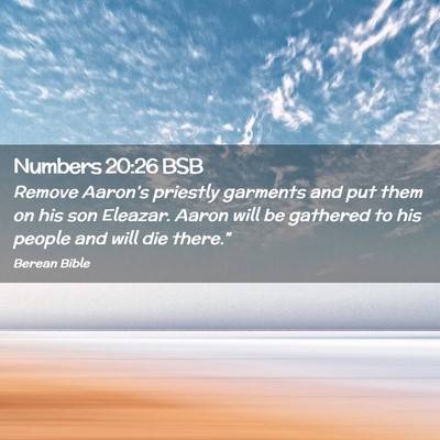 Picture 02 - Numbers 20:26 BSB - Remove Aaron’s priestly garments and put them - Bible Verse Picture