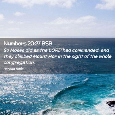 Picture 02 - Numbers 20:27 BSB - So Moses did as the LORD had commanded, and they - Bible Verse Picture
