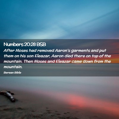 Picture 02 - Numbers 20:28 BSB - After Moses had removed Aaron’s garments and - Bible Verse Picture
