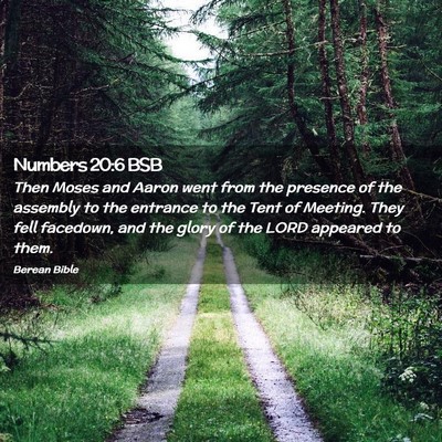 Picture 02 - Numbers 20:6 BSB - Then Moses and Aaron went from the presence of - Bible Verse Picture