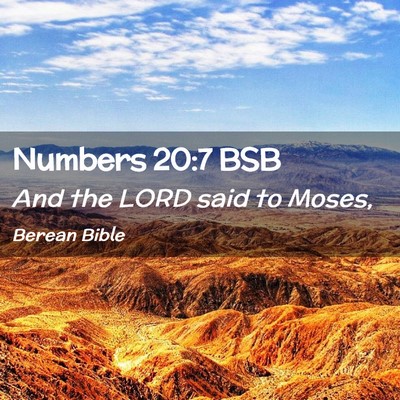 Picture 02 - Numbers 20:7 BSB - And the LORD said to - Bible Verse Picture