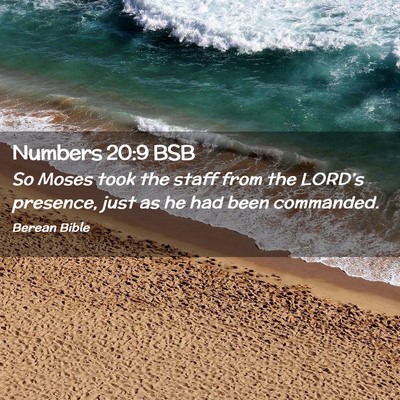 Picture 02 - Numbers 20:9 BSB - So Moses took the staff from the LORD’s - Bible Verse Picture