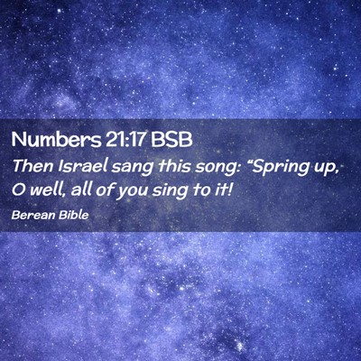 Picture 02 - Numbers 21:17 BSB - Then Israel sang this song: “Spring up, O well, - Bible Verse Picture