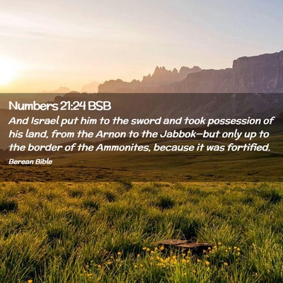 Picture 02 - Numbers 21:24 BSB - And Israel put him to the sword and took - Bible Verse Picture