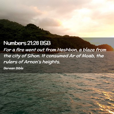 Picture 02 - Numbers 21:28 BSB - For a fire went out from Heshbon, a blaze from - Bible Verse Picture