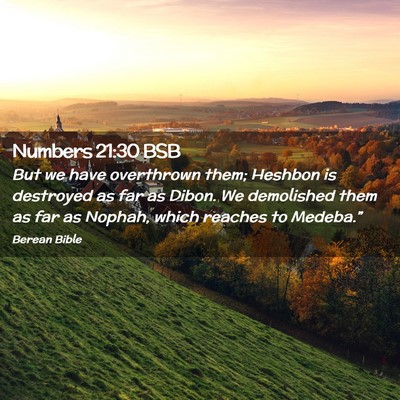 Picture 02 - Numbers 21:30 BSB - But we have overthrown them; Heshbon is destroyed - Bible Verse Picture