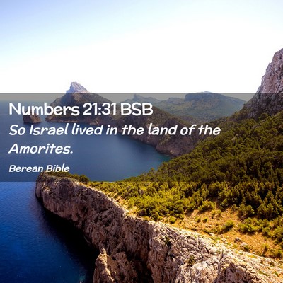 Picture 02 - Numbers 21:31 BSB - So Israel lived in the land of the - Bible Verse Picture