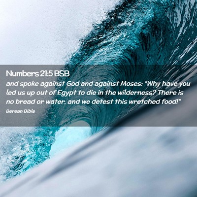 Picture 02 - Numbers 21:5 BSB - and spoke against God and against Moses: “Why - Bible Verse Picture