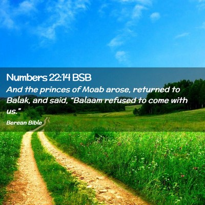 Picture 02 - Numbers 22:14 BSB - And the princes of Moab arose, returned to Balak, - Bible Verse Picture