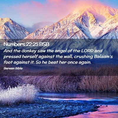 Picture 02 - Numbers 22:25 BSB - And the donkey saw the angel of the LORD and - Bible Verse Picture