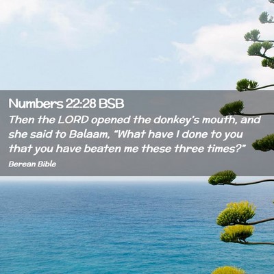 Picture 02 - Numbers 22:28 BSB - Then the LORD opened the donkey’s mouth, and - Bible Verse Picture