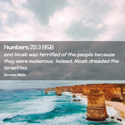 Picture 02 - Numbers 22:3 BSB - and Moab was terrified of the people because they - Bible Verse Picture
