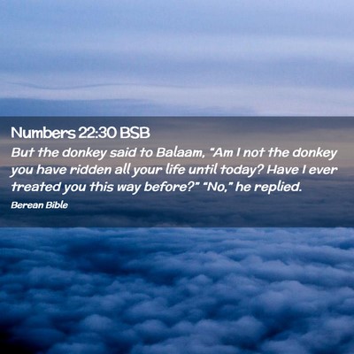 Picture 02 - Numbers 22:30 BSB - But the donkey said to Balaam, “Am I not the - Bible Verse Picture
