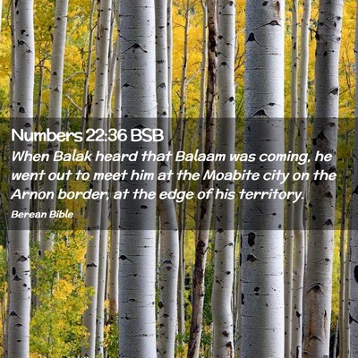 Picture 02 - Numbers 22:36 BSB - When Balak heard that Balaam was coming, he went - Bible Verse Picture