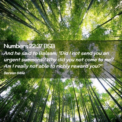 Picture 02 - Numbers 22:37 BSB - And he said to Balaam, “Did I not send you an - Bible Verse Picture