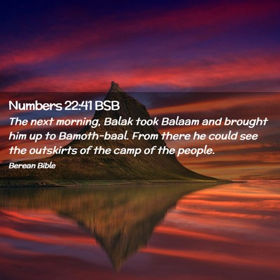 Picture 02 - Numbers 22:41 BSB - The next morning, Balak took Balaam and brought - Bible Verse Picture