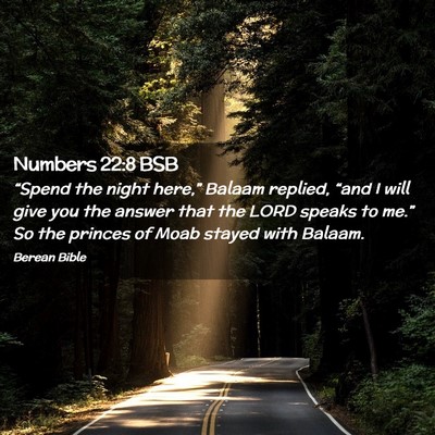 Picture 02 - Numbers 22:8 BSB - “Spend the night here,” Balaam replied, - Bible Verse Picture