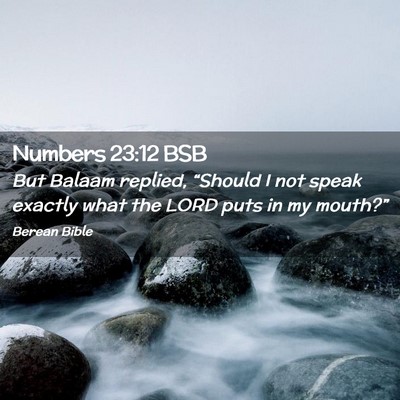 Picture 02 - Numbers 23:12 BSB - But Balaam replied, “Should I not speak exactly - Bible Verse Picture