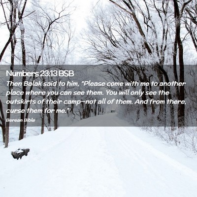 Picture 02 - Numbers 23:13 BSB - Then Balak said to him, “Please come with me to - Bible Verse Picture