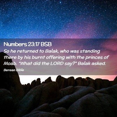 Picture 02 - Numbers 23:17 BSB - So he returned to Balak, who was standing there - Bible Verse Picture