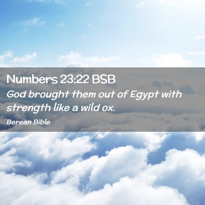 Picture 02 - Numbers 23:22 BSB - God brought them out of Egypt with strength like - Bible Verse Picture