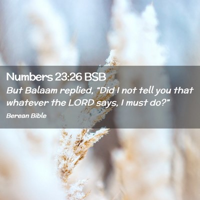 Picture 02 - Numbers 23:26 BSB - But Balaam replied, “Did I not tell you that - Bible Verse Picture