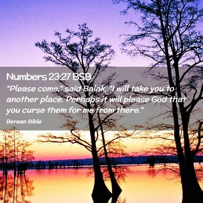 Picture 02 - Numbers 23:27 BSB - “Please come,” said Balak, “I will take you - Bible Verse Picture