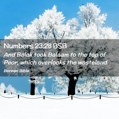 Picture 02 - Numbers 23:28 BSB - And Balak took Balaam to the top of Peor, which - Bible Verse Picture
