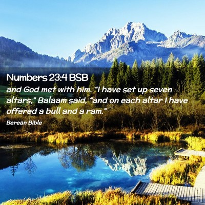 Picture 02 - Numbers 23:4 BSB - and God met with him. “I have set up seven - Bible Verse Picture