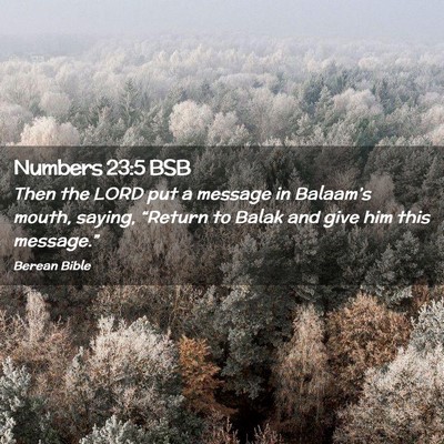 Picture 02 - Numbers 23:5 BSB - Then the LORD put a message in Balaam’s mouth, - Bible Verse Picture