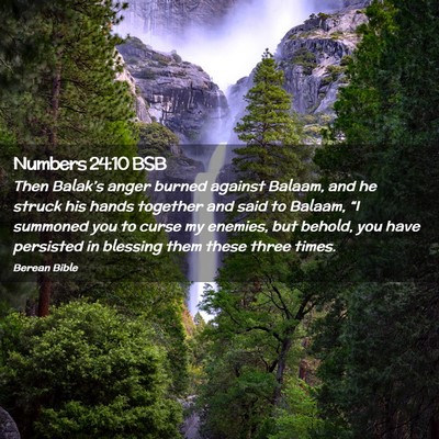 Picture 02 - Numbers 24:10 BSB - Then Balak’s anger burned against Balaam, and - Bible Verse Picture
