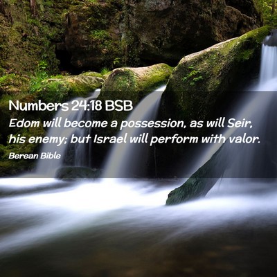 Picture 02 - Numbers 24:18 BSB - Edom will become a possession, as will Seir, his - Bible Verse Picture