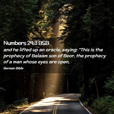 Picture 02 - Numbers 24:3 BSB - and he lifted up an oracle, saying: “This is - Bible Verse Picture