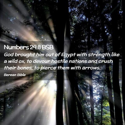 Picture 02 - Numbers 24:8 BSB - God brought him out of Egypt with strength like a - Bible Verse Picture