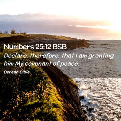 Picture 02 - Numbers 25:12 BSB - Declare, therefore, that I am granting him My - Bible Verse Picture