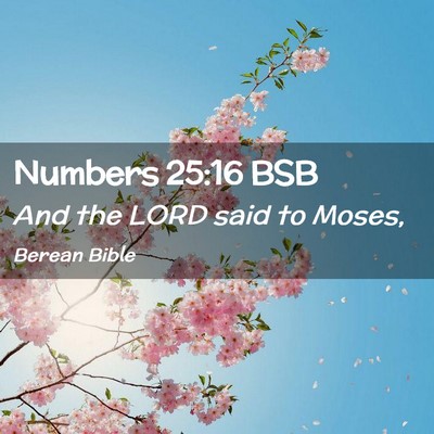 Picture 02 - Numbers 25:16 BSB - And the LORD said to - Bible Verse Picture