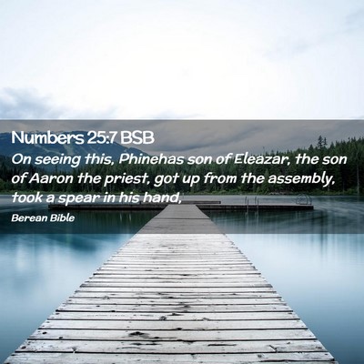 Picture 02 - Numbers 25:7 BSB - On seeing this, Phinehas son of Eleazar, the son - Bible Verse Picture