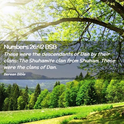 Picture 02 - Numbers 26:42 BSB - These were the descendants of Dan by their clans: - Bible Verse Picture