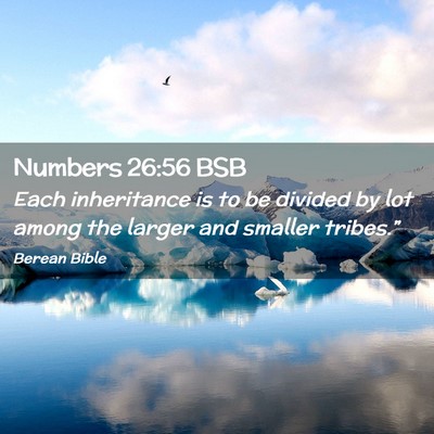Picture 02 - Numbers 26:56 BSB - Each inheritance is to be divided by lot among - Bible Verse Picture