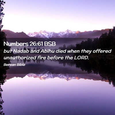 Picture 02 - Numbers 26:61 BSB - but Nadab and Abihu died when they offered - Bible Verse Picture