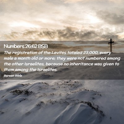 Picture 02 - Numbers 26:62 BSB - The registration of the Levites totaled 23,000, - Bible Verse Picture