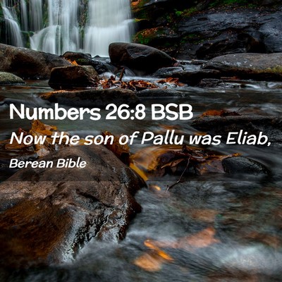 Picture 02 - Numbers 26:8 BSB - Now the son of Pallu was - Bible Verse Picture