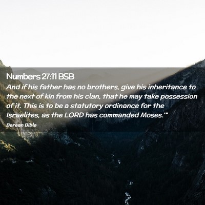 Picture 02 - Numbers 27:11 BSB - And if his father has no brothers, give his - Bible Verse Picture