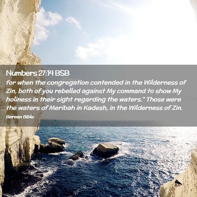 Picture 02 - Numbers 27:14 BSB - for when the congregation contended in the - Bible Verse Picture