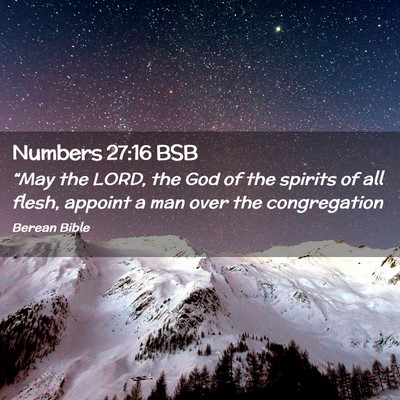 Picture 02 - Numbers 27:16 BSB - “May the LORD, the God of the spirits of all - Bible Verse Picture