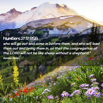 Picture 02 - Numbers 27:17 BSB - who will go out and come in before them, and who - Bible Verse Picture
